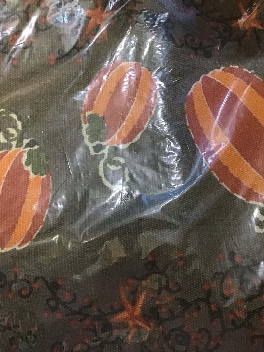 Beautiful Pumpkin Runner - Picture 2 of 3